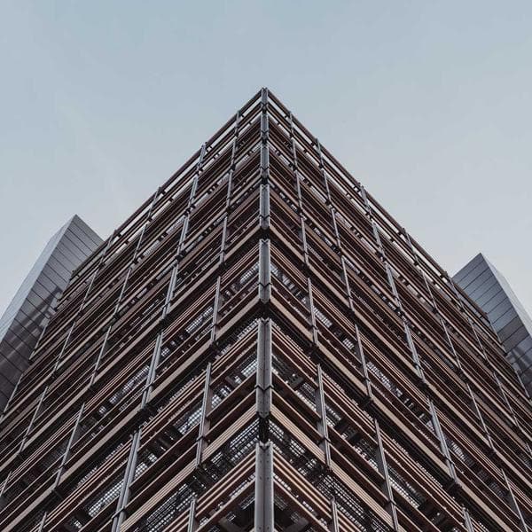 Musculosa Basica Pack x3